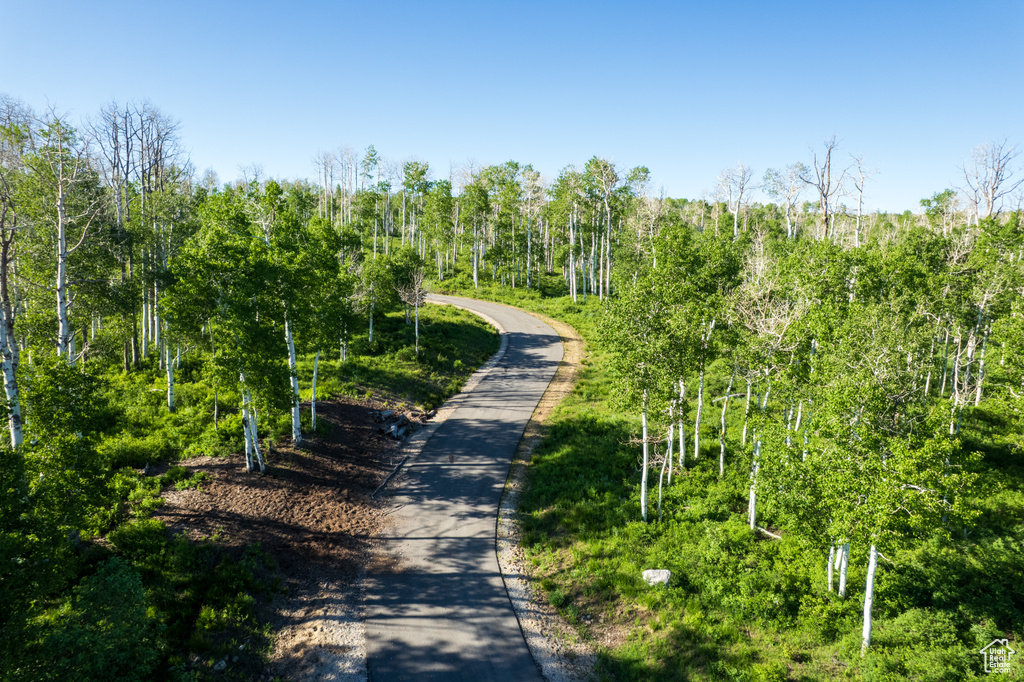 View of street featuring a forest view