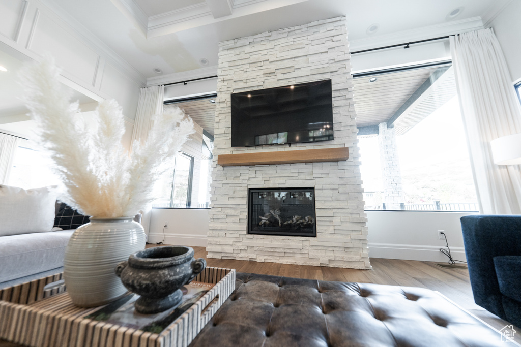 Living room featuring crown molding, wood finished floors, and a stone fireplace