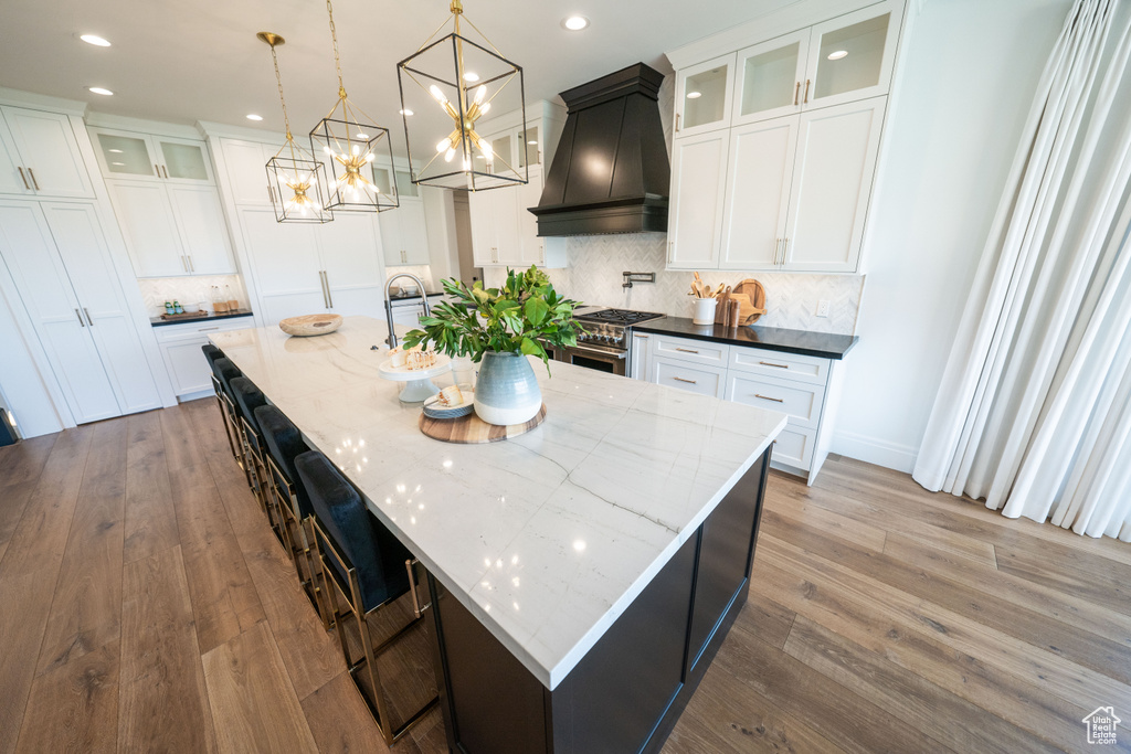 Kitchen with custom range hood, recessed lighting, decorative backsplash, wood finished floors, and high end stainless steel range oven