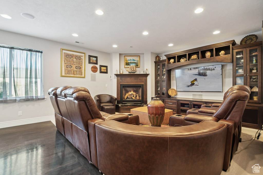 Living room featuring dark wood-type flooring