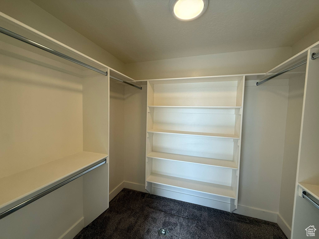 Spacious closet with dark colored carpet