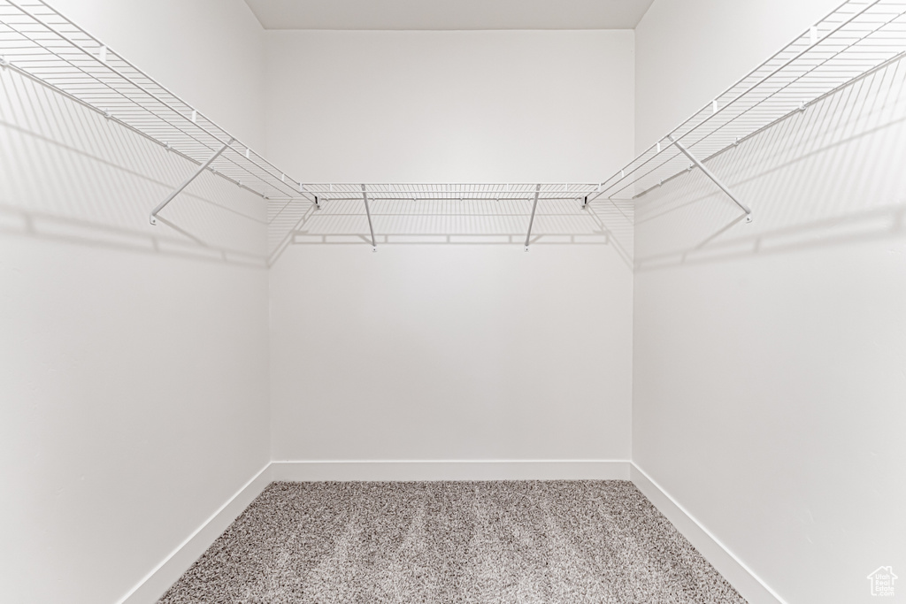 Walk in closet with carpet flooring