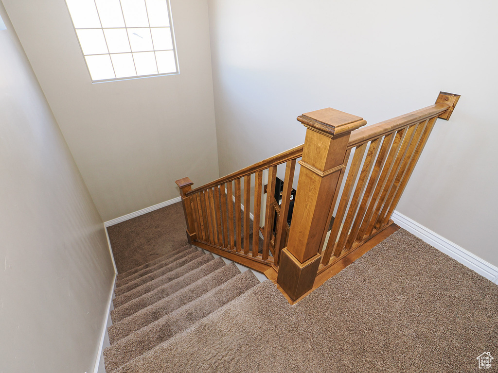 Staircase with carpet