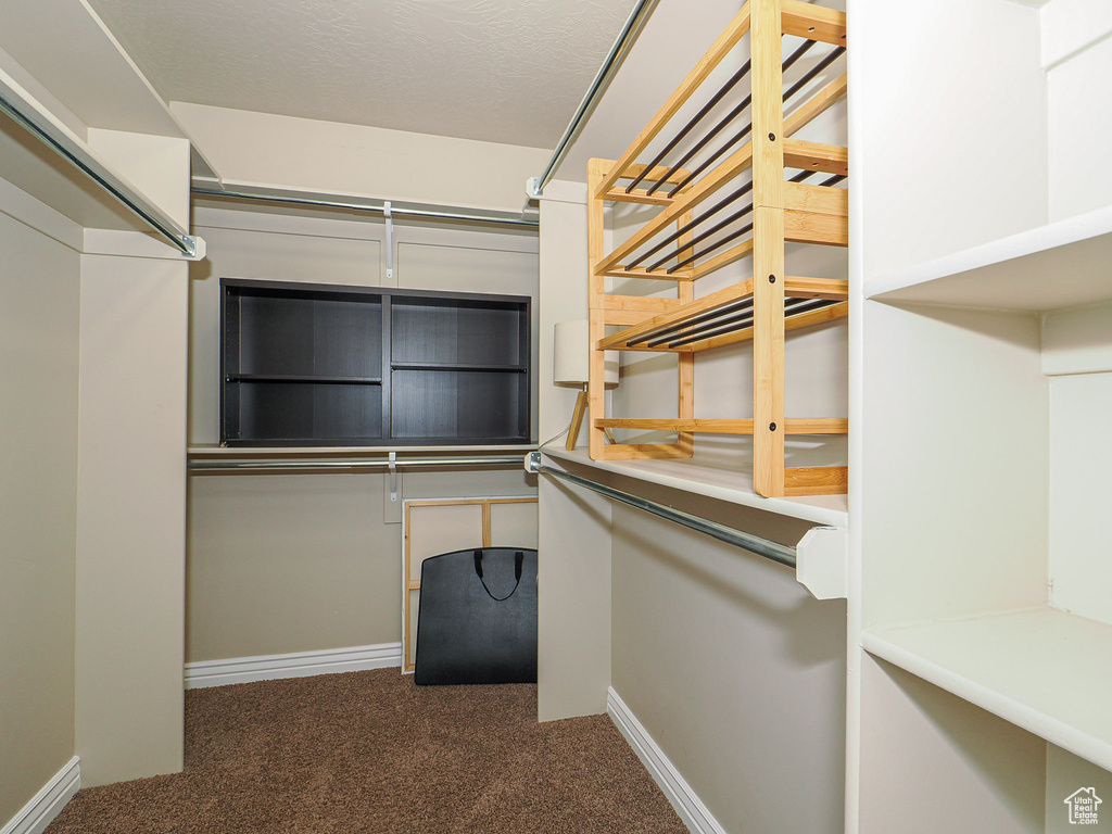 Spacious closet featuring dark carpet