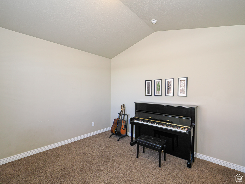 Miscellaneous room featuring carpet floors and vaulted ceiling