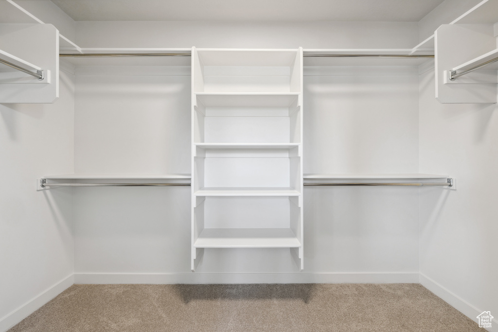 Walk in closet featuring carpet