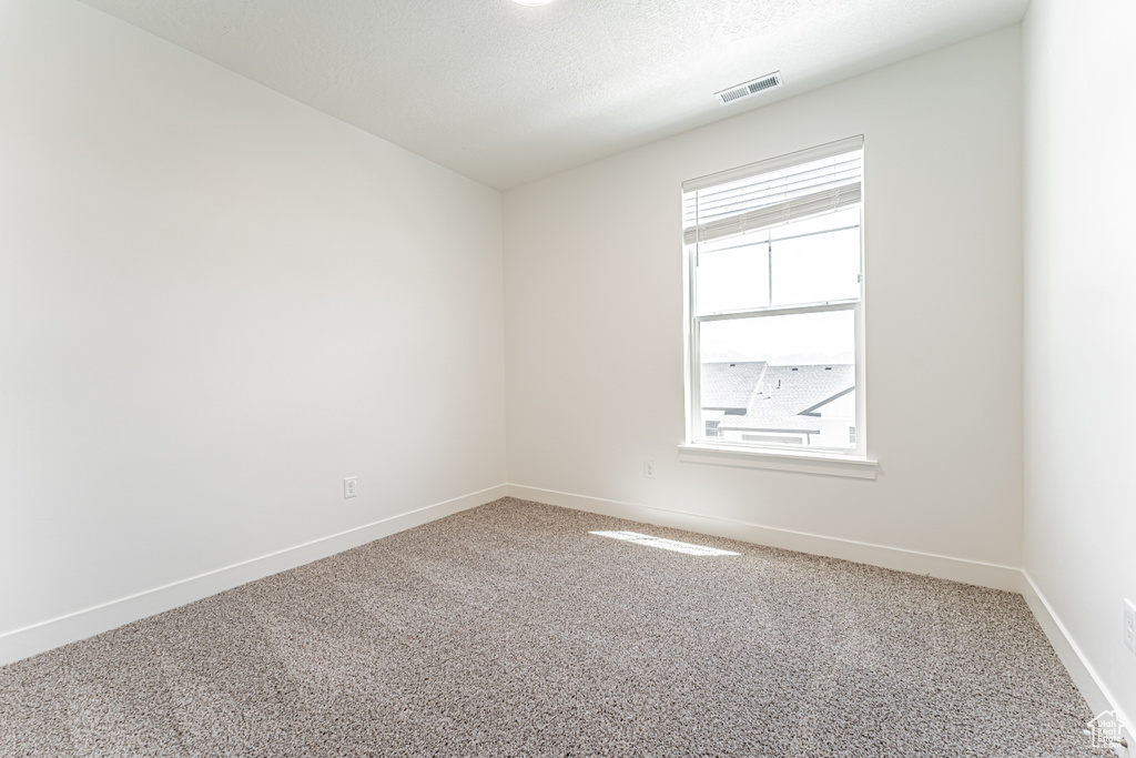Empty room featuring carpet floors, baseboards, and a textured ceiling
