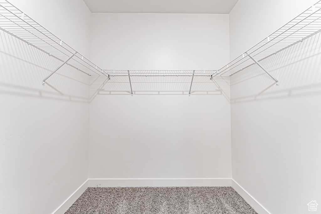 Walk in closet featuring light carpet