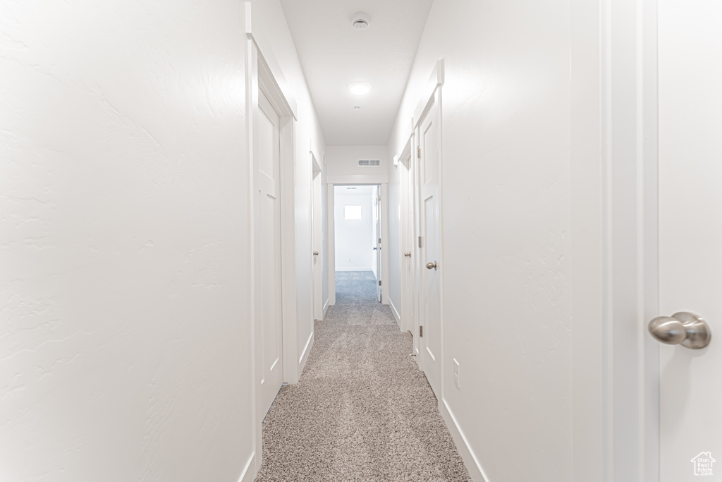 Corridor with light colored carpet and baseboards