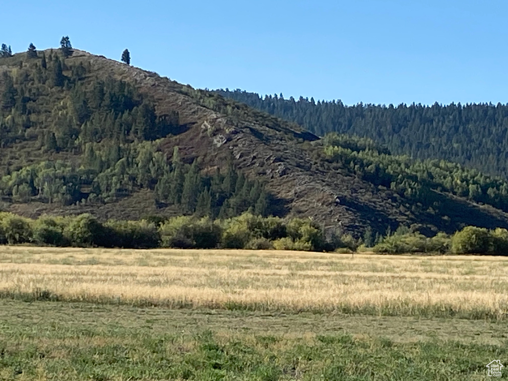 Mountain view featuring a rural view