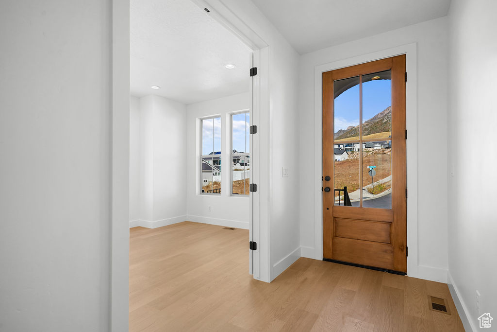 Foyer with plenty of natural light and light wood-type flooring