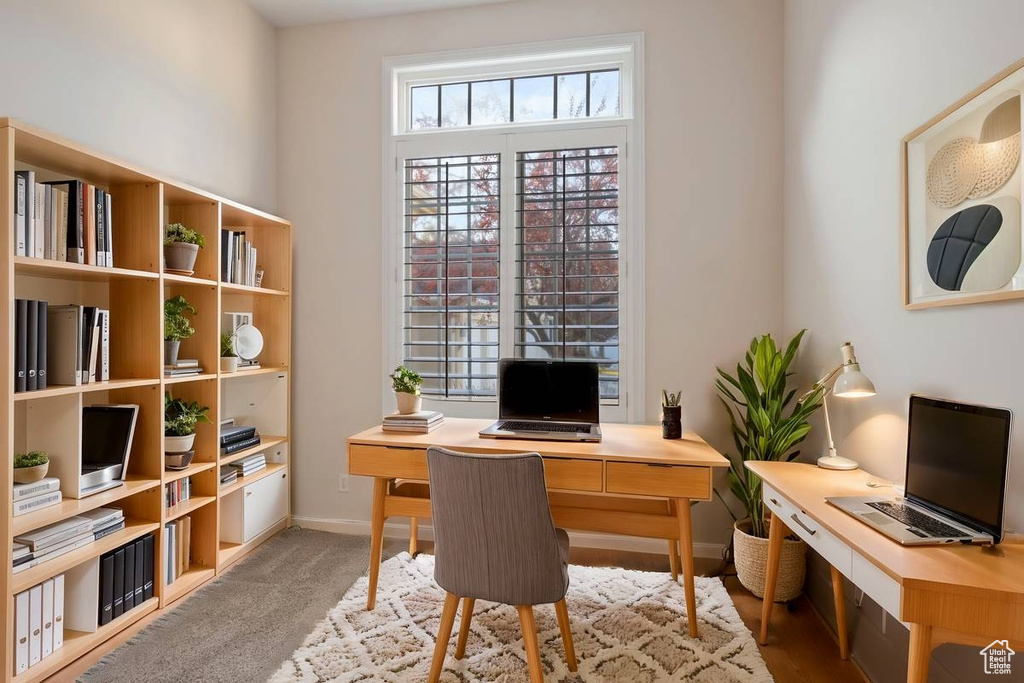 Office area featuring carpet flooring