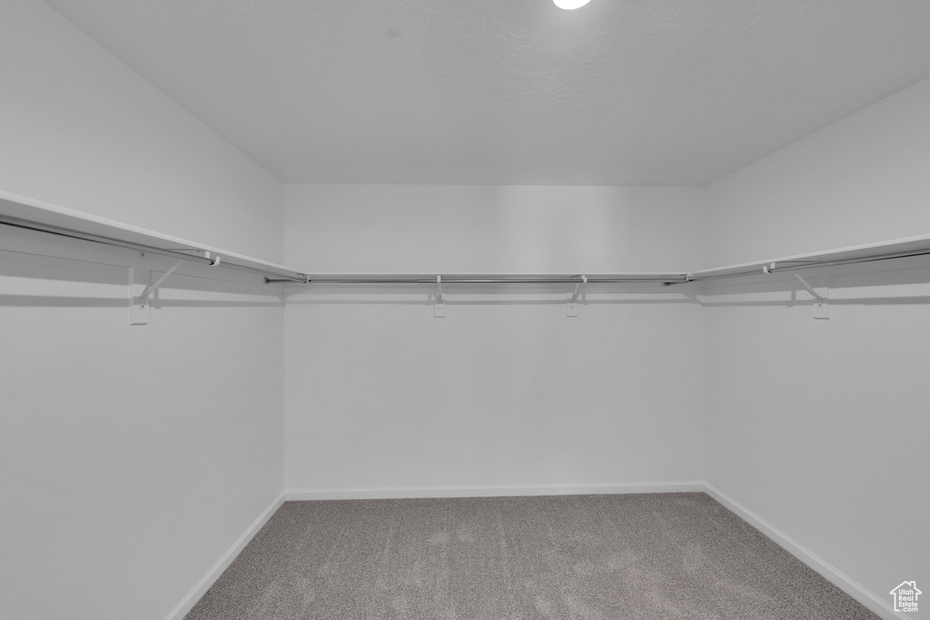 6448 N PEDIGREE LN #1203 Stansbury Park, UT 84074