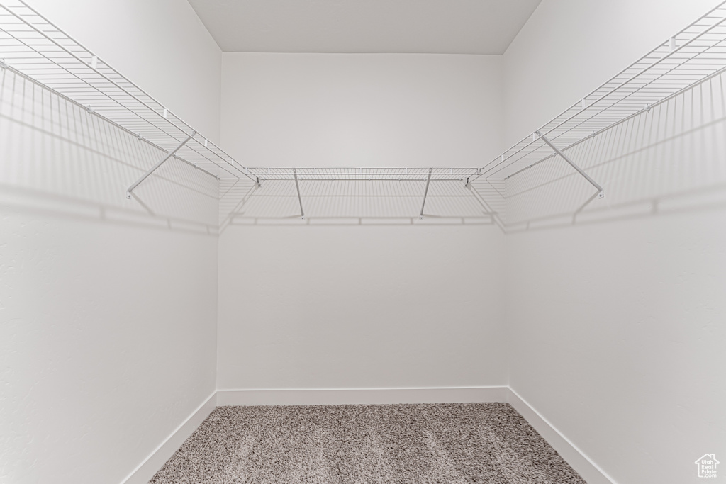 Spacious closet featuring carpet floors