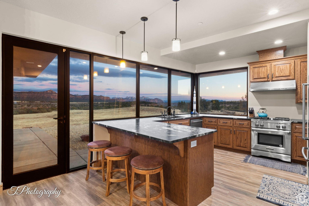 Kitchen with a breakfast bar, stainless steel appliances, light hardwood / wood-style floors, and hanging light fixtures