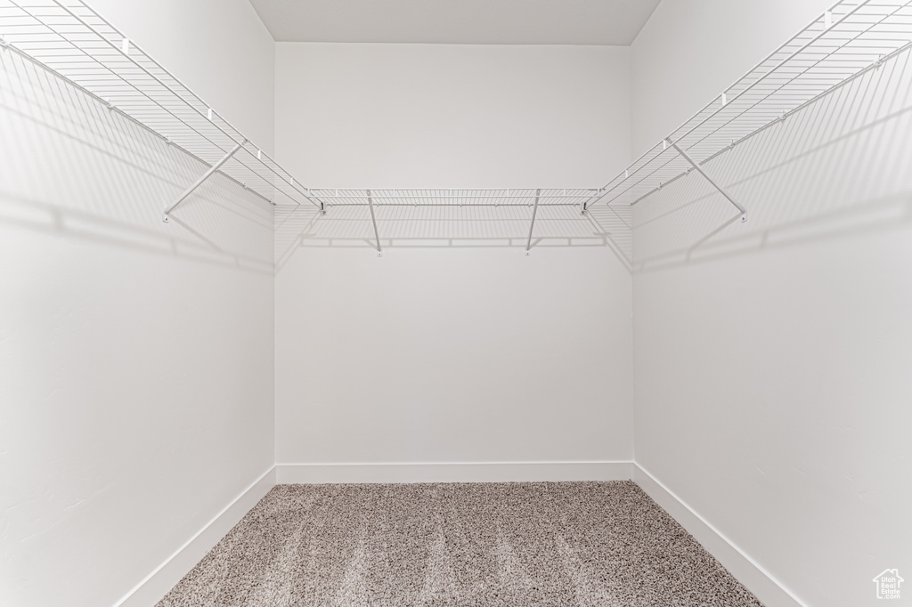 Spacious closet featuring carpet