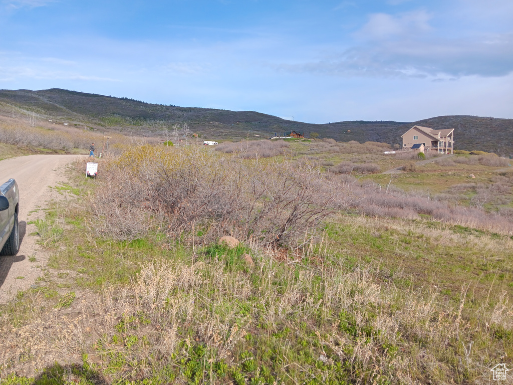 View of mountain background