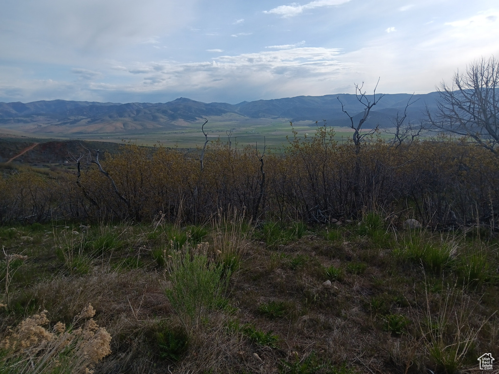 Mountain view