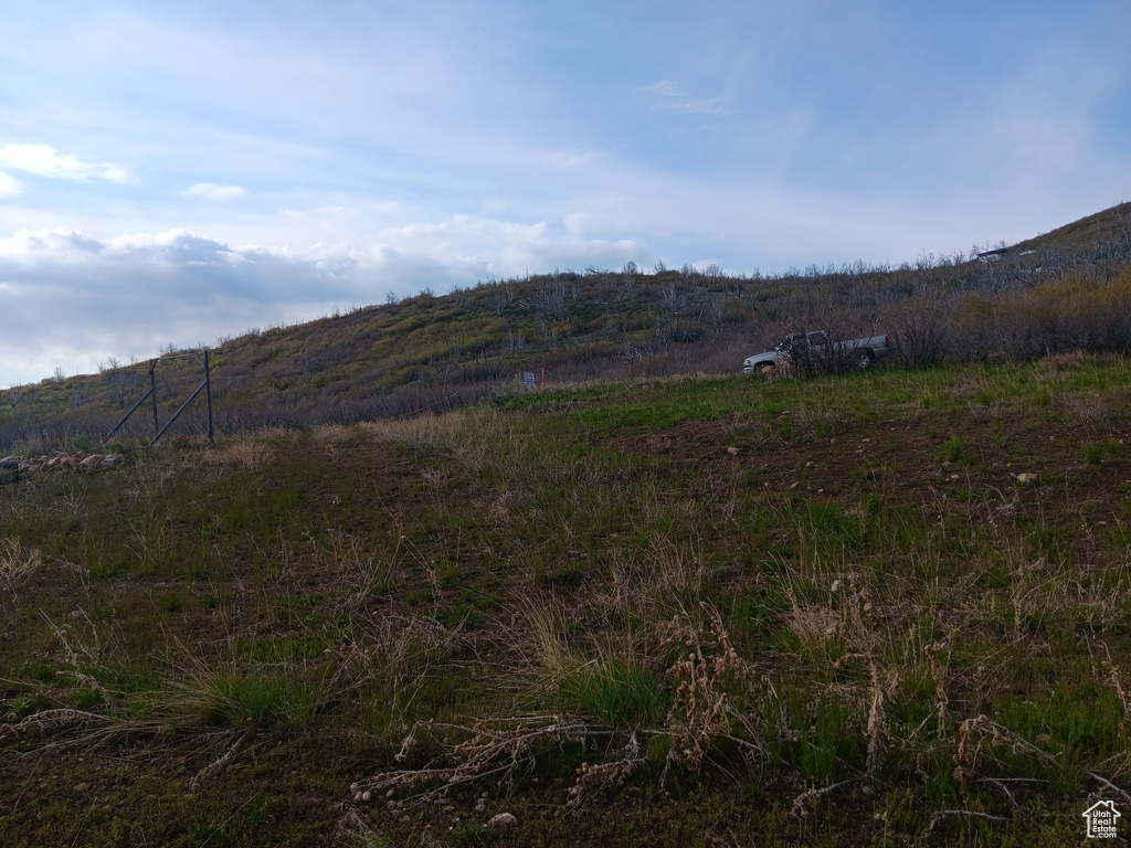 Mountain view