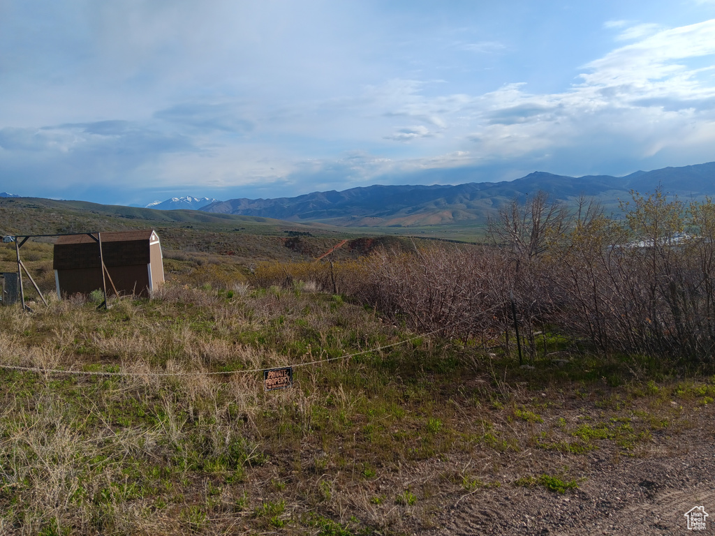 Mountain view