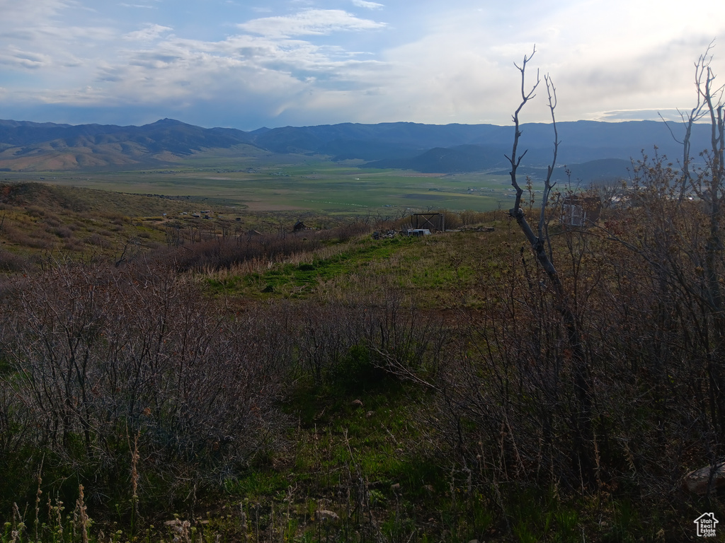 View of mountain backdrop