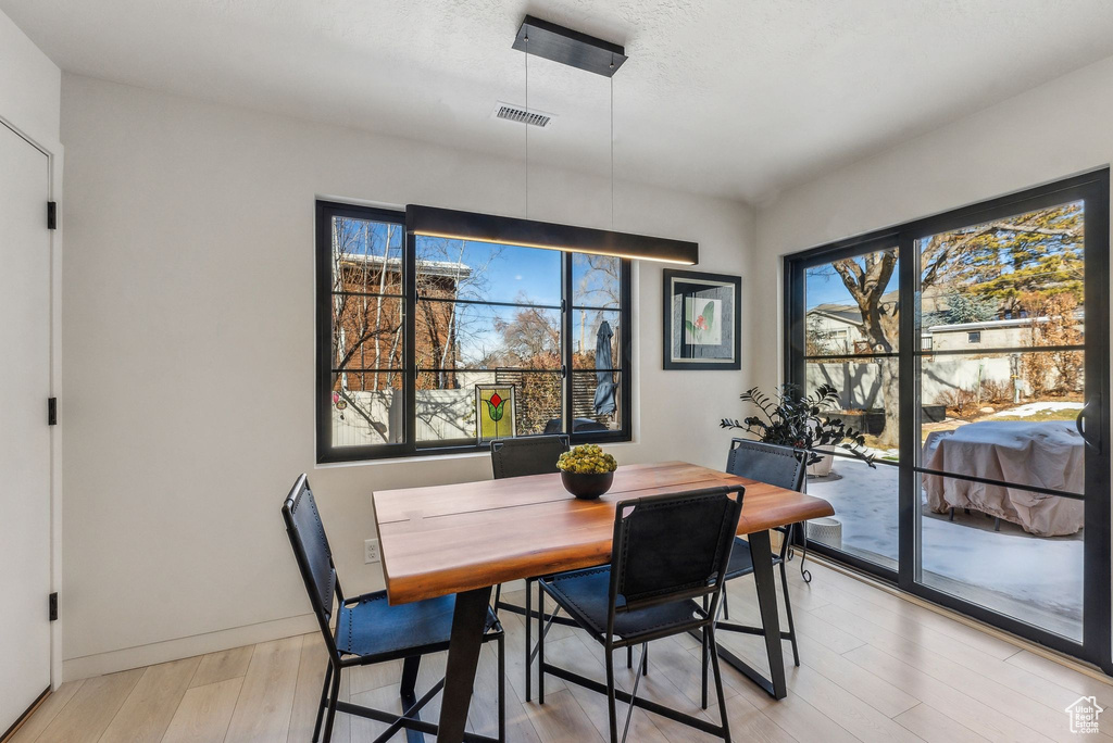 Dining room featuring light wood-type flooring and plenty of natural light