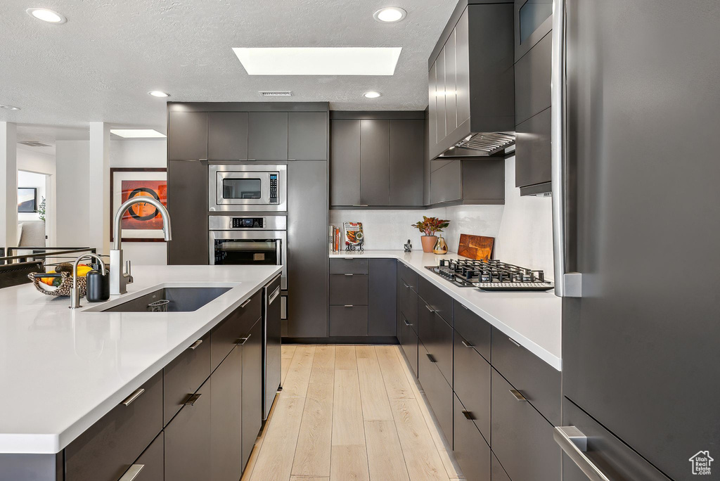 Kitchen with wall chimney exhaust hood, sink, a skylight, light hardwood / wood-style floors, and stainless steel appliances