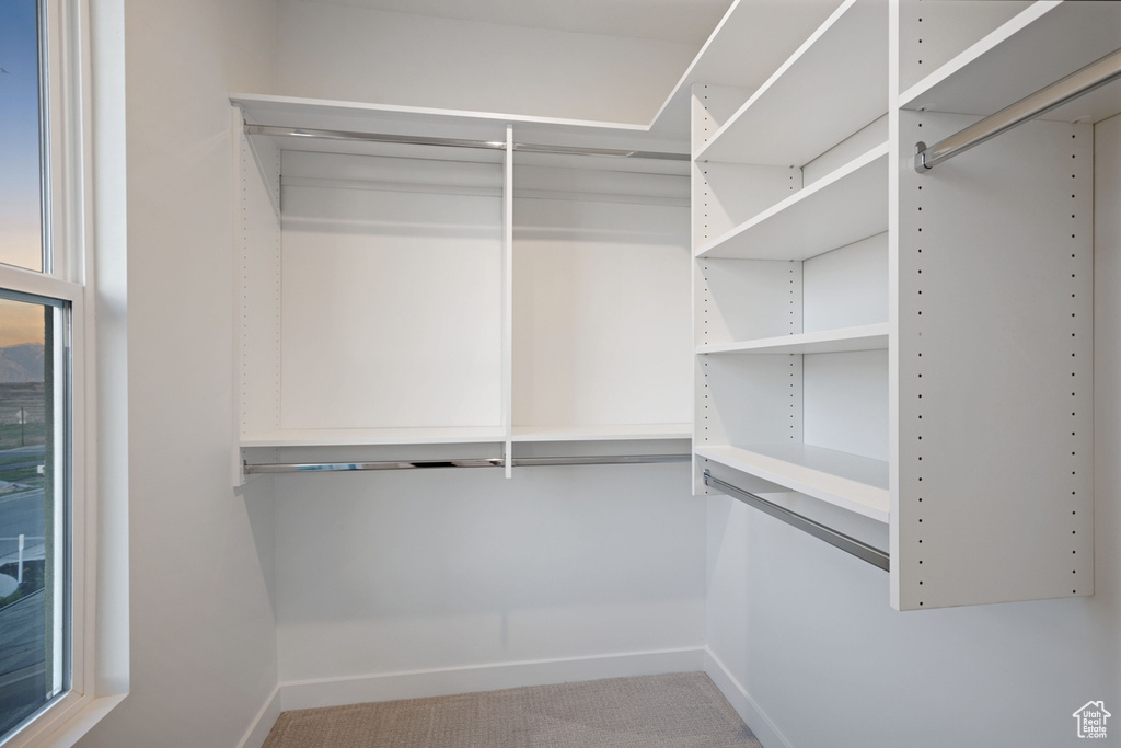 Walk in closet featuring carpet