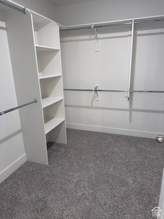Spacious closet featuring carpet floors