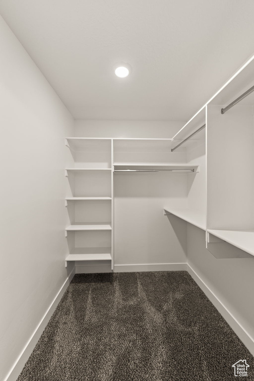 Spacious closet with dark colored carpet