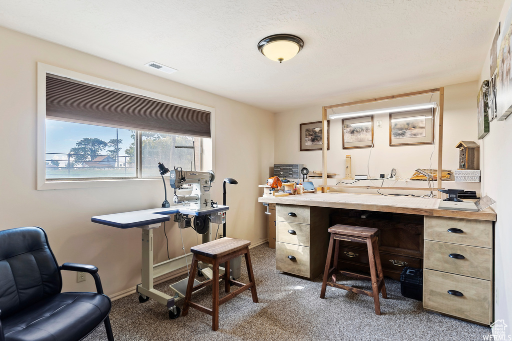 View of carpeted office
