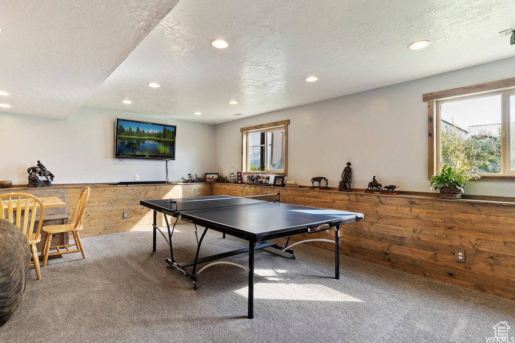 Rec room featuring a textured ceiling and carpet flooring