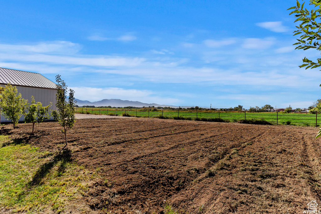 View of yard with a mountain view and a rural view