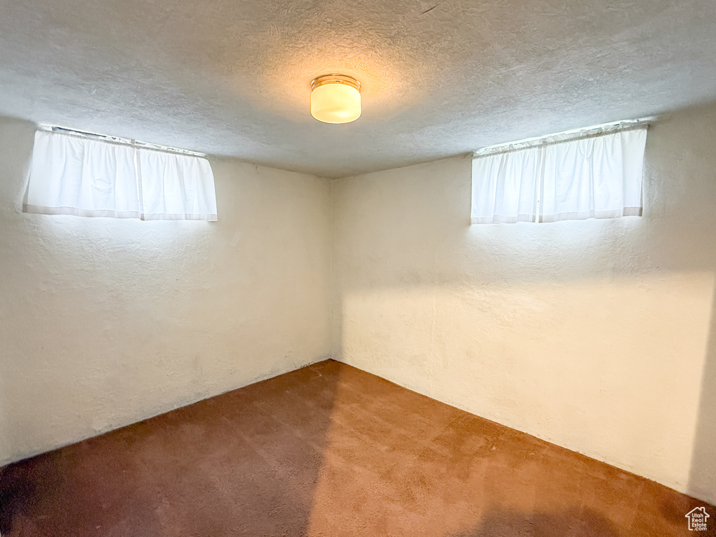 Below grade area with plenty of natural light, carpet floors, a textured wall, and a textured ceiling
