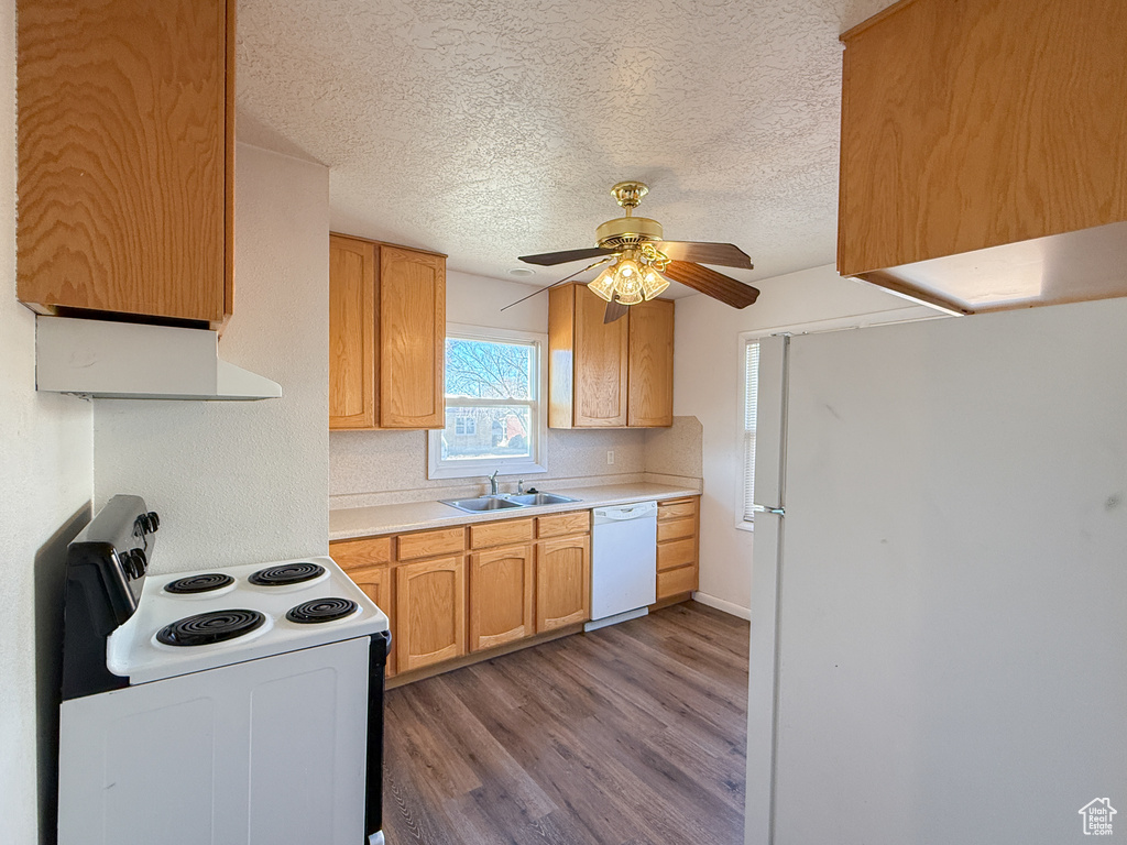 Kitchen featuring white appliances, a textured ceiling, sink, ceiling fan, and light hardwood / wood-style flooring