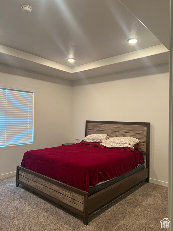 Bedroom featuring carpet floors and a raised ceiling