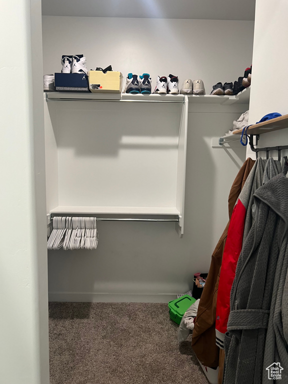 Spacious closet featuring carpet