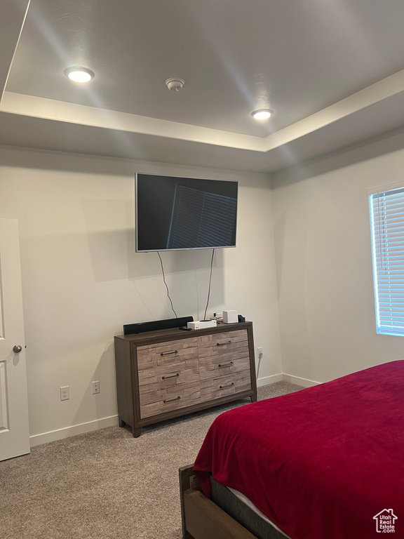 Carpeted bedroom with a tray ceiling