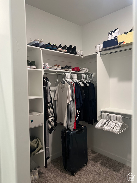 Spacious closet featuring carpet