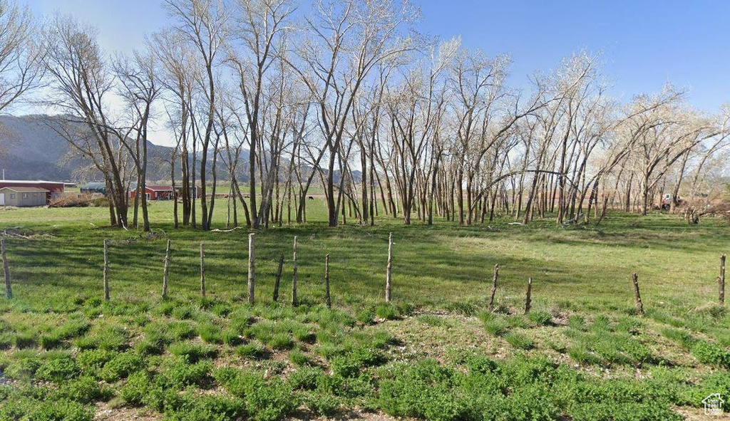 View of yard with a mountain view and a rural view