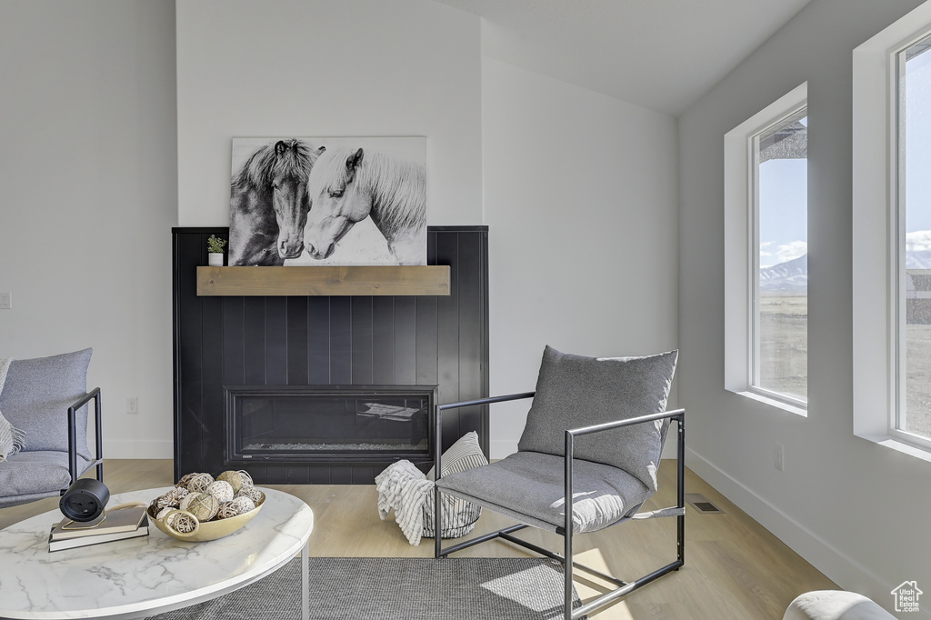 Sitting room with light hardwood / wood-style floors and plenty of natural light