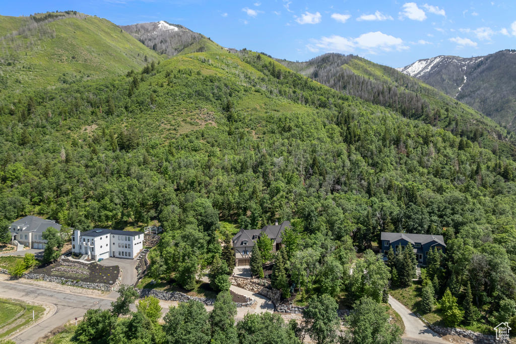 View of mountain background with a heavily wooded area