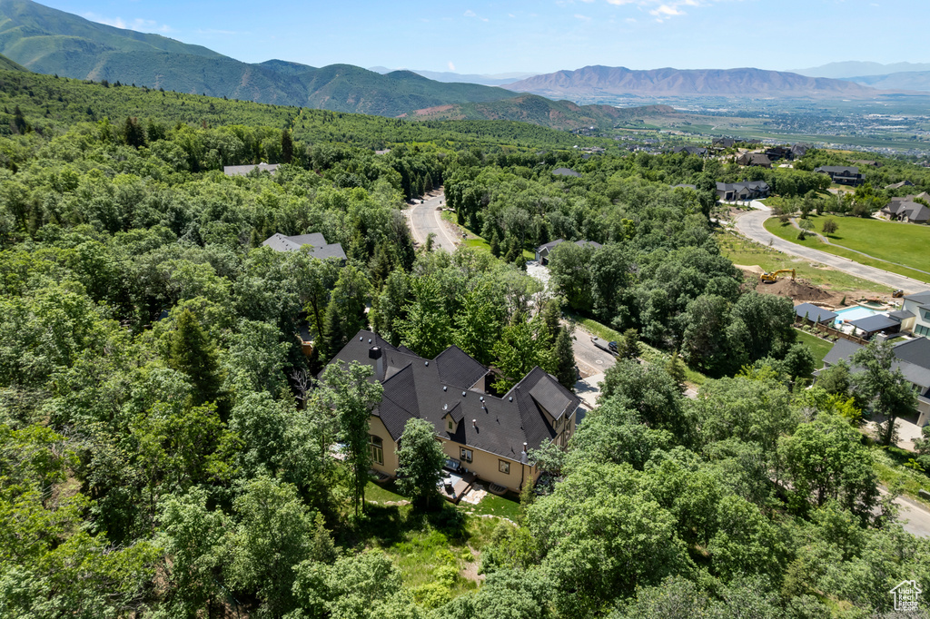 Aerial view of a forest and a mountain backdrop