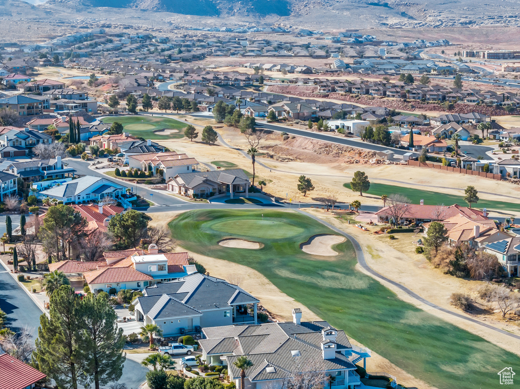 Bird\'s eye view