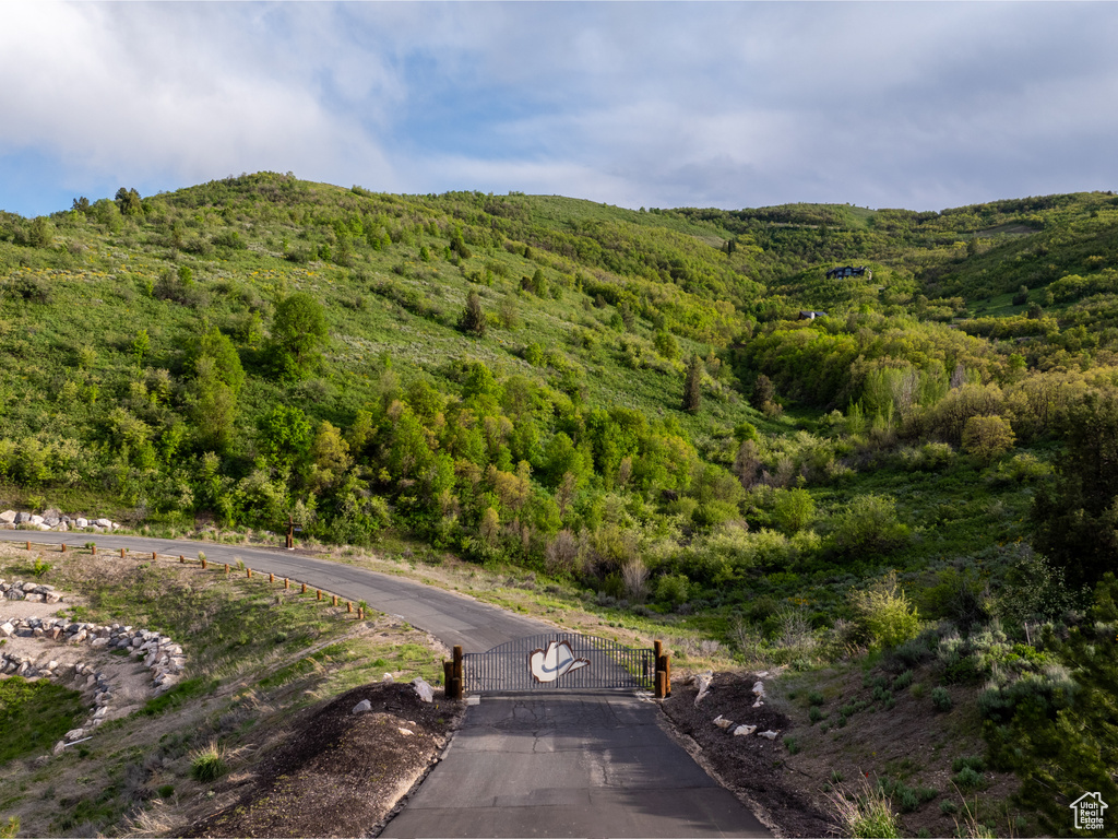 View of mountain background with a heavily wooded area