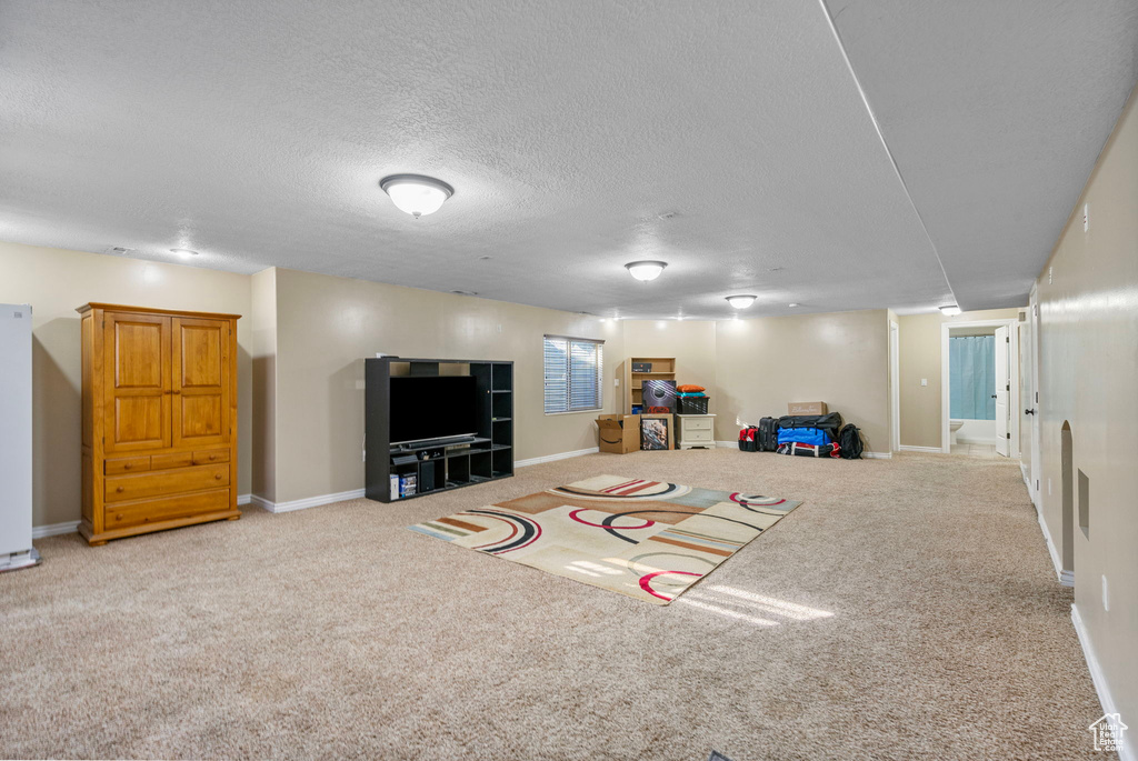 Game room with carpet floors and a textured ceiling