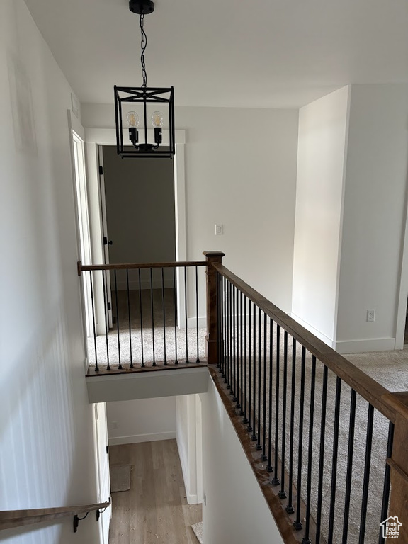 Stairs with hardwood / wood-style flooring