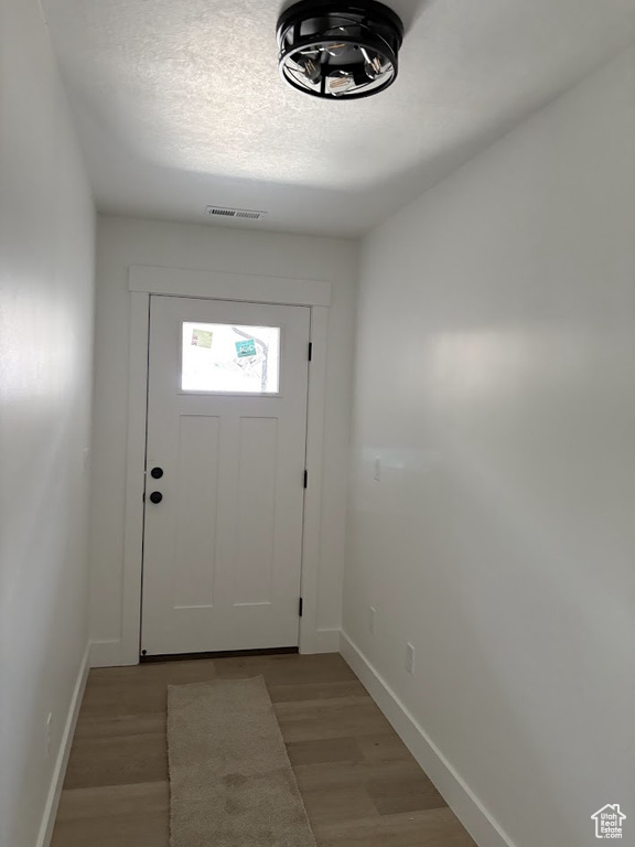 Entryway with light hardwood / wood-style flooring