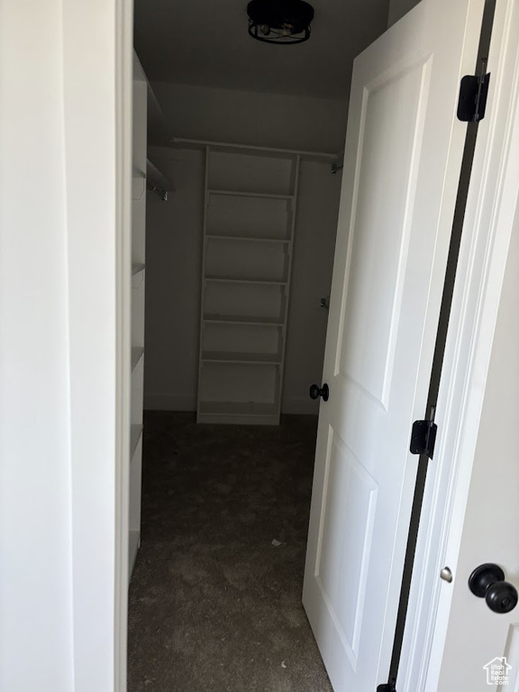 View of spacious closet