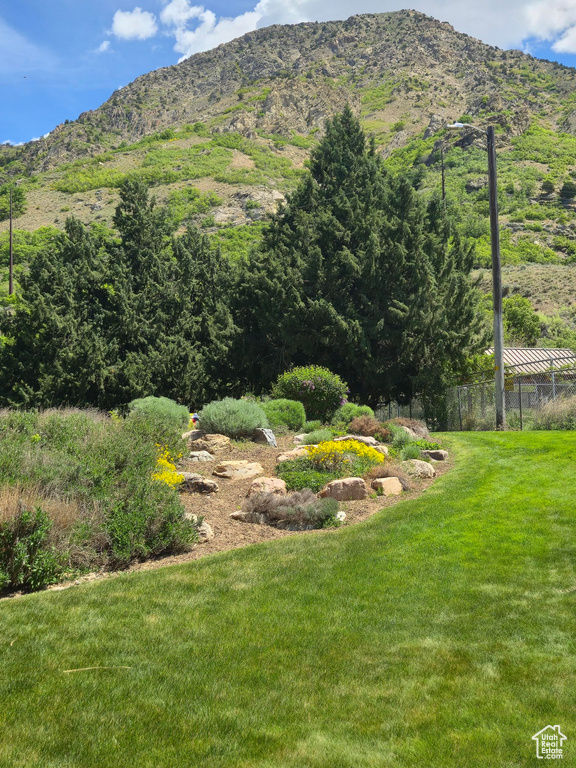 View of mountain background